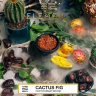 Табак Element Воздух - Cactus Fig (Кактусовый Финик) 25 гр Табак Element Воздух - Cactus Fig (Кактусовый Финик) 25 гр